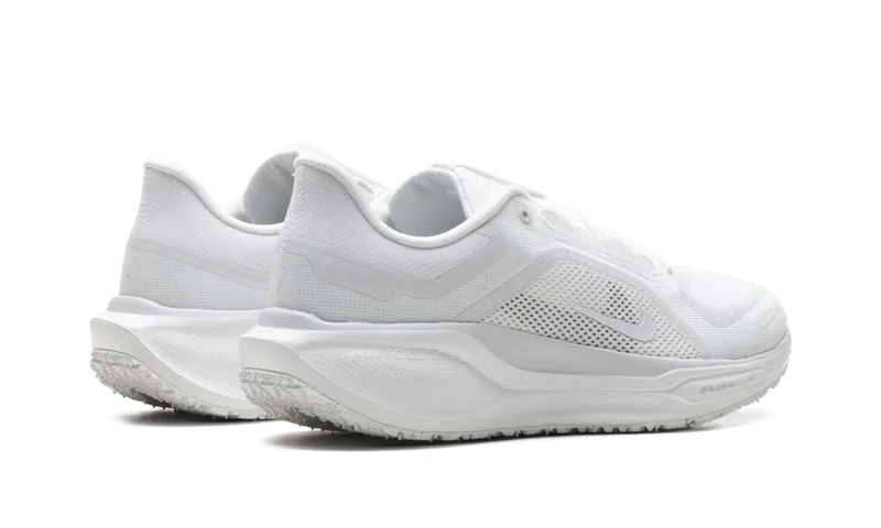 Nike Air Zoom Pegasus 41 “Gore-Tex” (FQ1356-101)