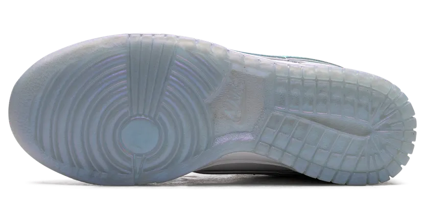 nike-dunk FJ7743-194
