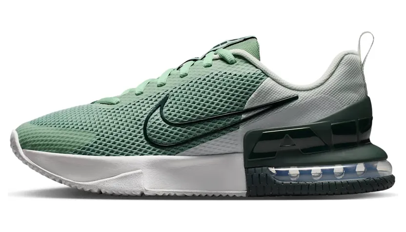 Nike Alpha Trainer Steam/Spruce Aura/Off White/Black Spruce (FQ1833-015)