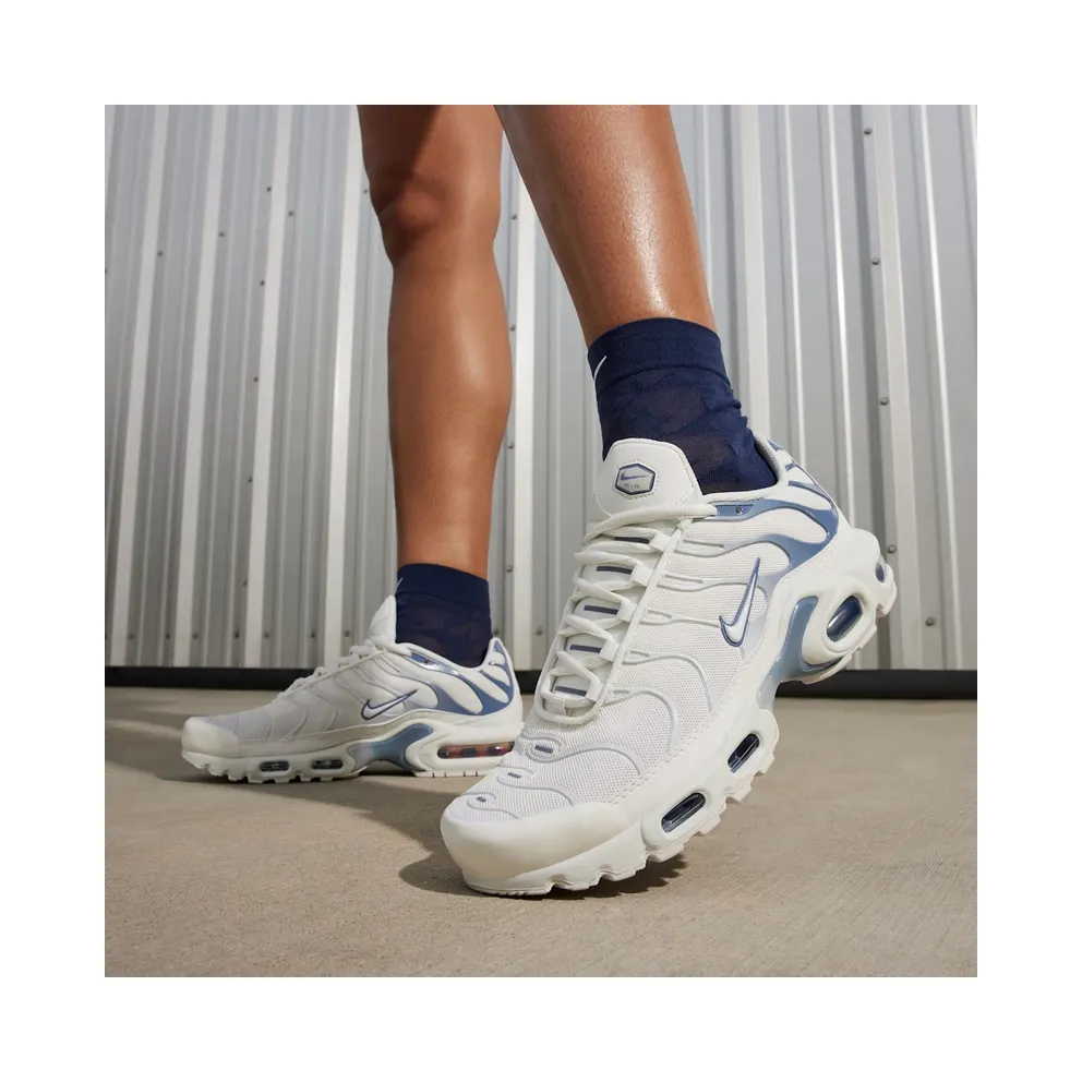 Nike Air Max Plus Ashen Slate (DZ3671-104)