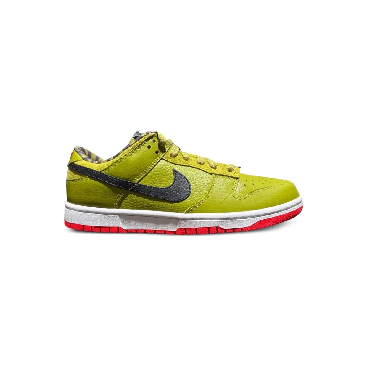 nike-dunk FJ2253901