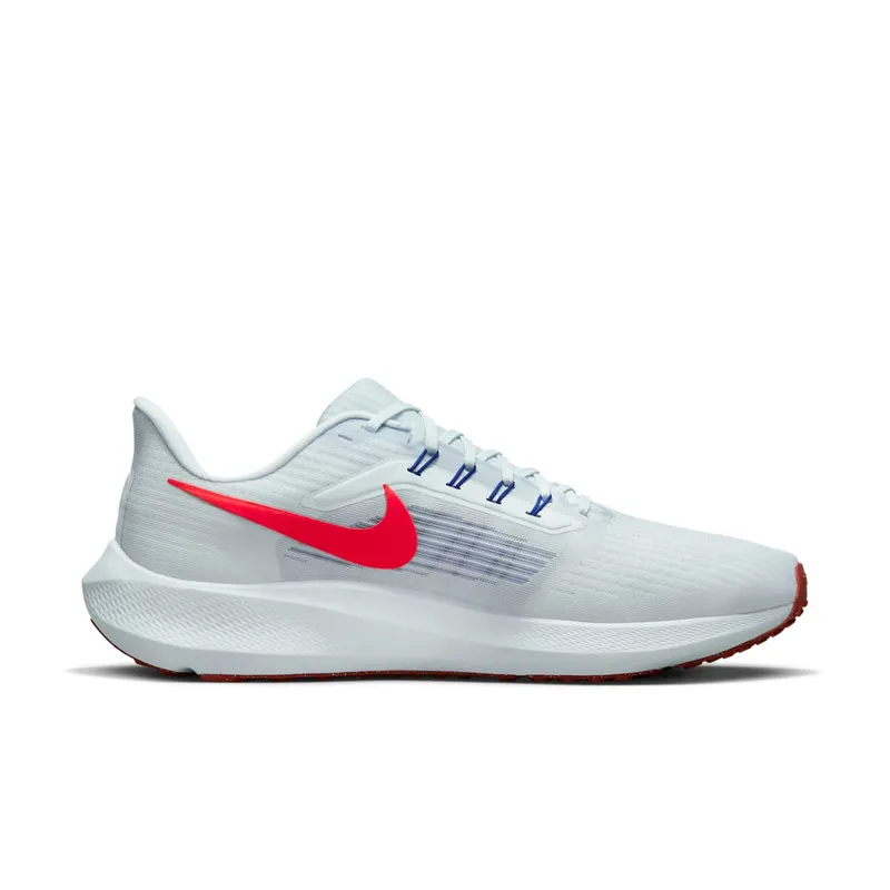 Nike Pegasus 39 “Grey” (DH4071-007)