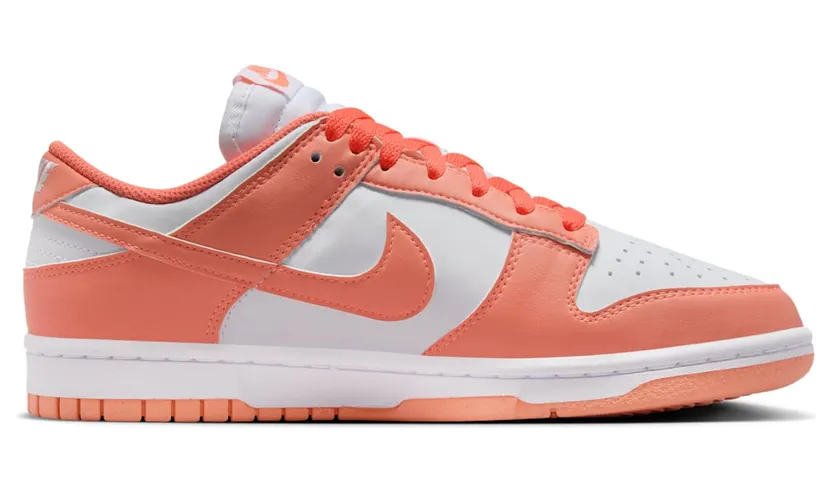 nike-dunk DD1873-109