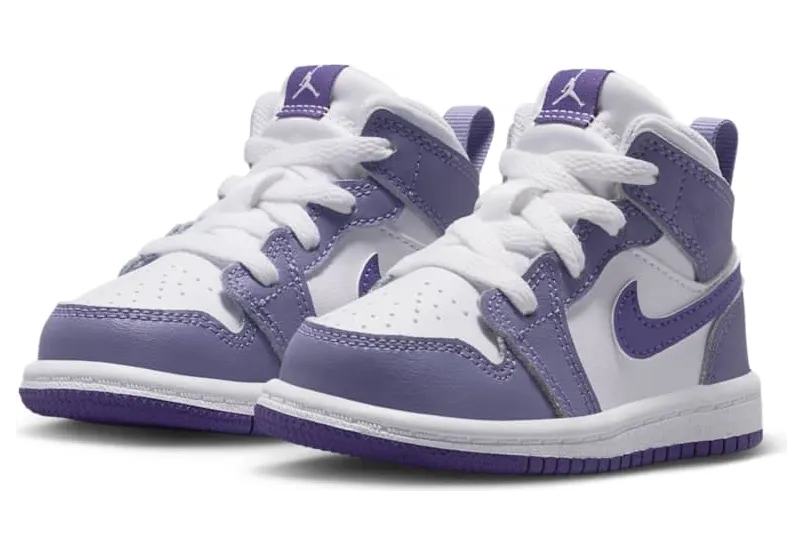 air-jordan-1 DQ8425-500