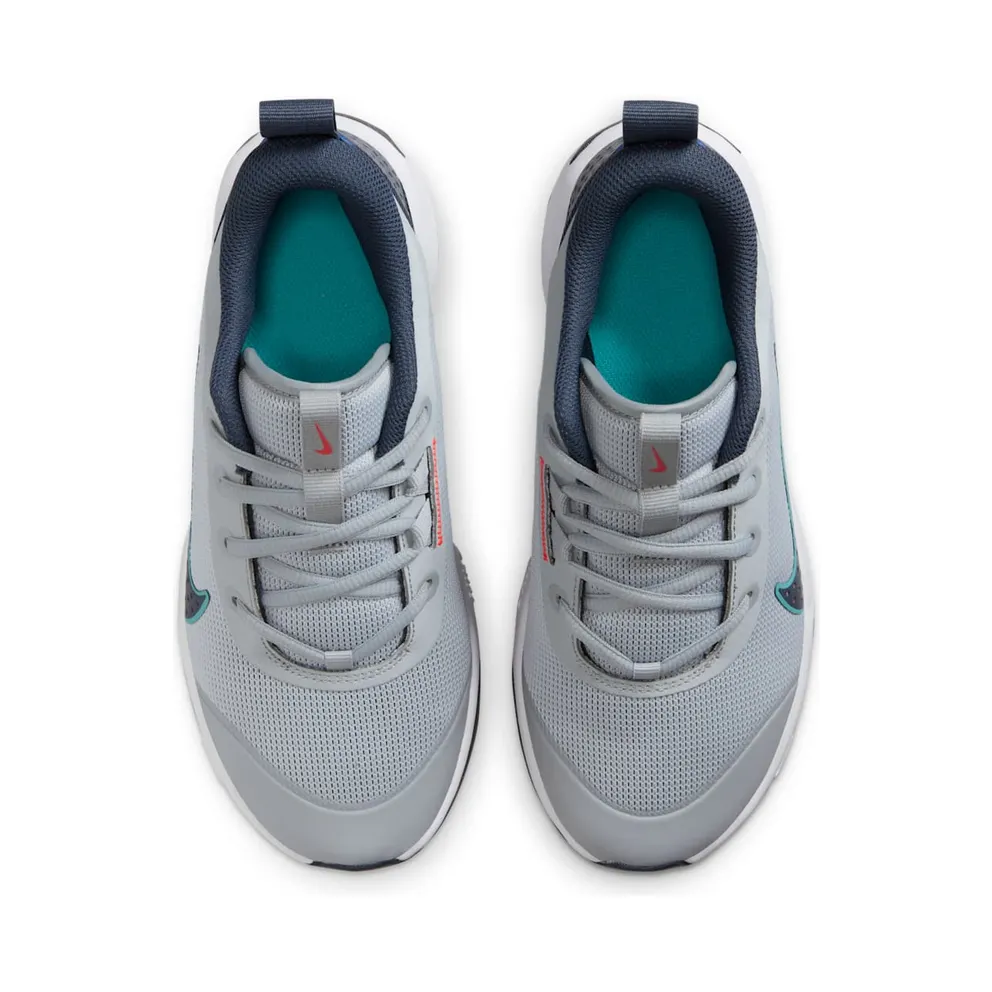 Nike Omni Multi-Court Wolf Grey Bright Crimson Dusty Cactus Thunder Blue (DM9027-010)