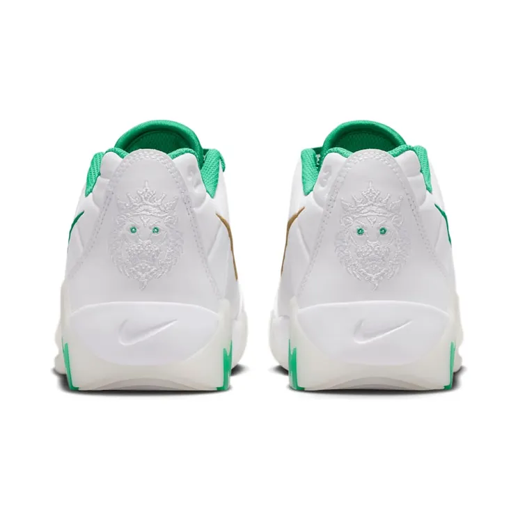 lebron-witness-9 HV2270-101