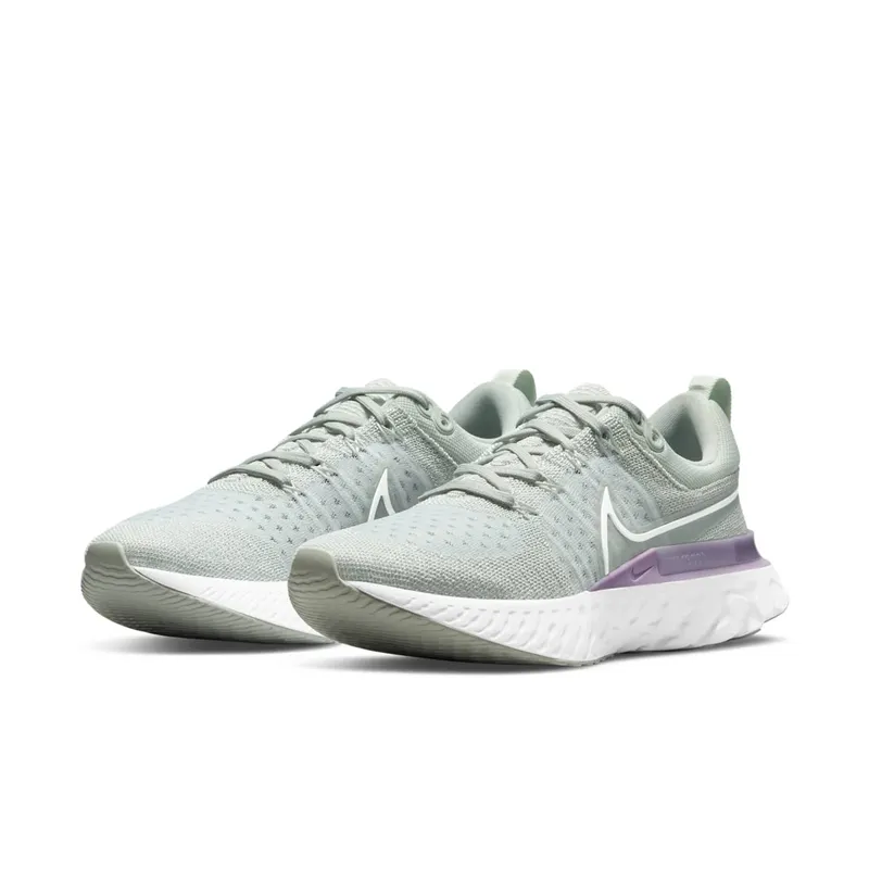 Nike React Infinity Run Flyknit 2 Grey (CT2423-005)