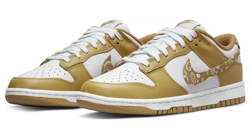nike-dunk DH4401-104