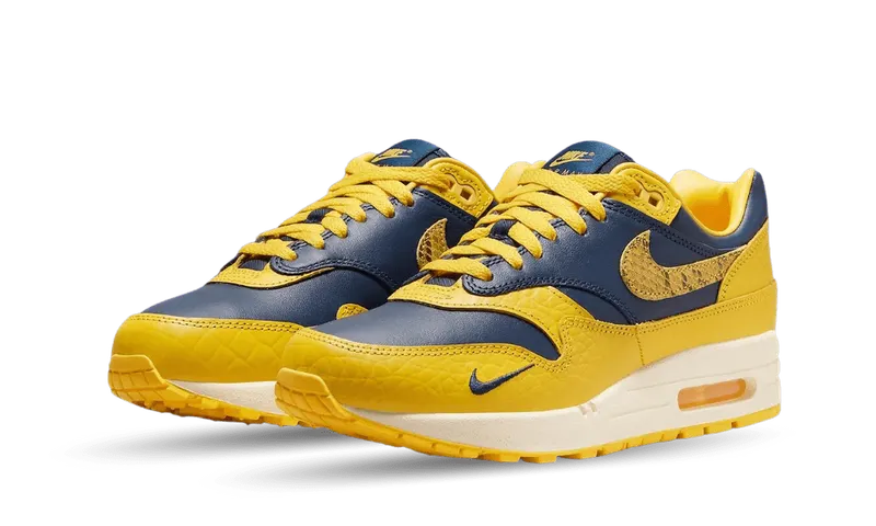 Nike Air Max 1 CO.JP Michigan Head to Head (W) (FJ5479-410)