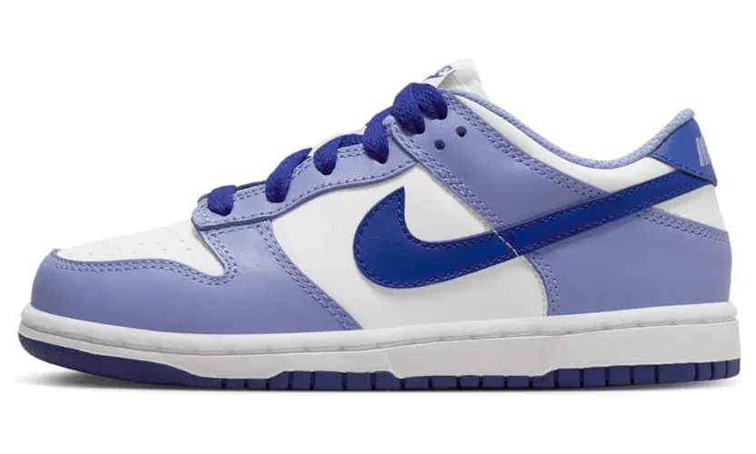 Nike Dunk Low DZ4457-100