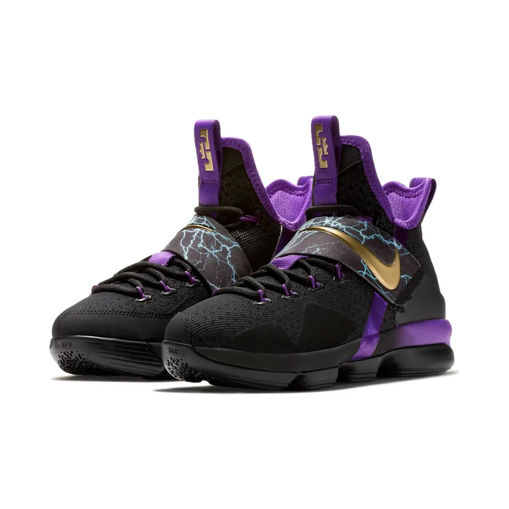 Nike LeBron 14 The Undertaker (GS) Hyper Grape/Metallic Gold-Black (AA3258-590)