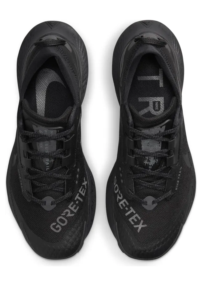 nike-air-pegasus DC8794-001