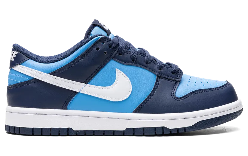 nike-dunk HF0031-400