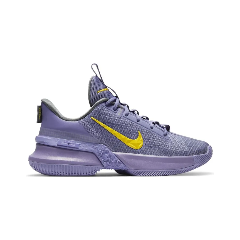 Nike LeBron Ambassador 13 Lakers (CQ9329-500)