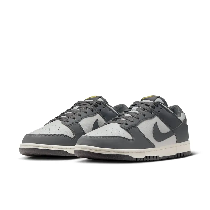 Nike Dunk Low Next Nature Iron Grey (FZ4621-001)