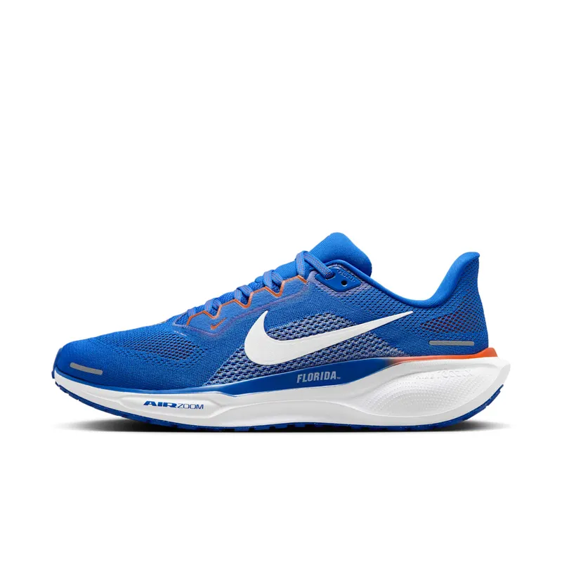 Nike Air Zoom Pegasus 41 Florida (FZ5113-400)