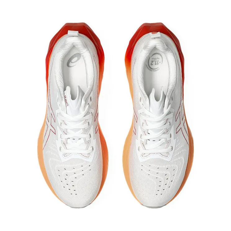 asics-novablast 1011B693-103