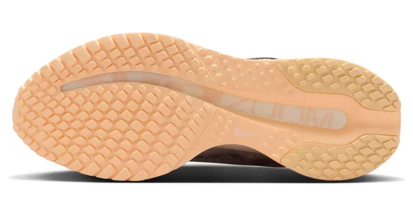 nike-air-pegasus HQ2593-012