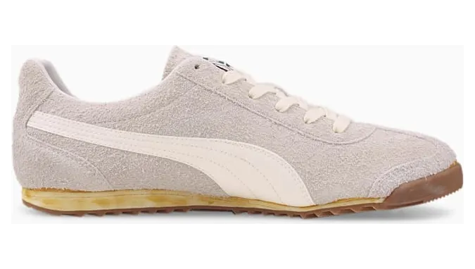 puma-arizona 384402-01
