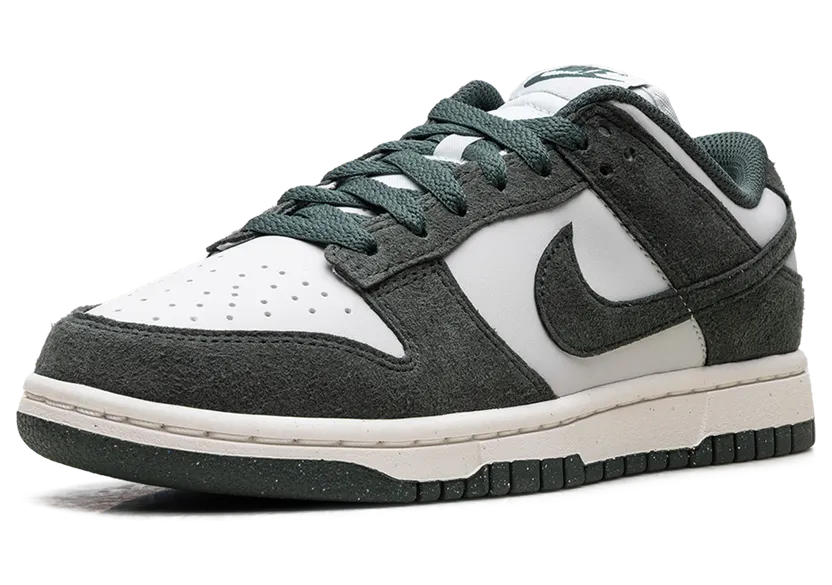 nike-dunk HJ7673-002