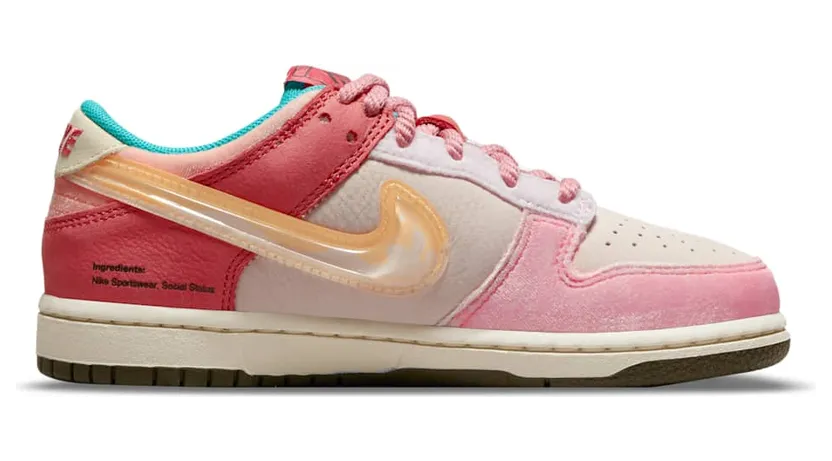 nike-dunk DM3349-600