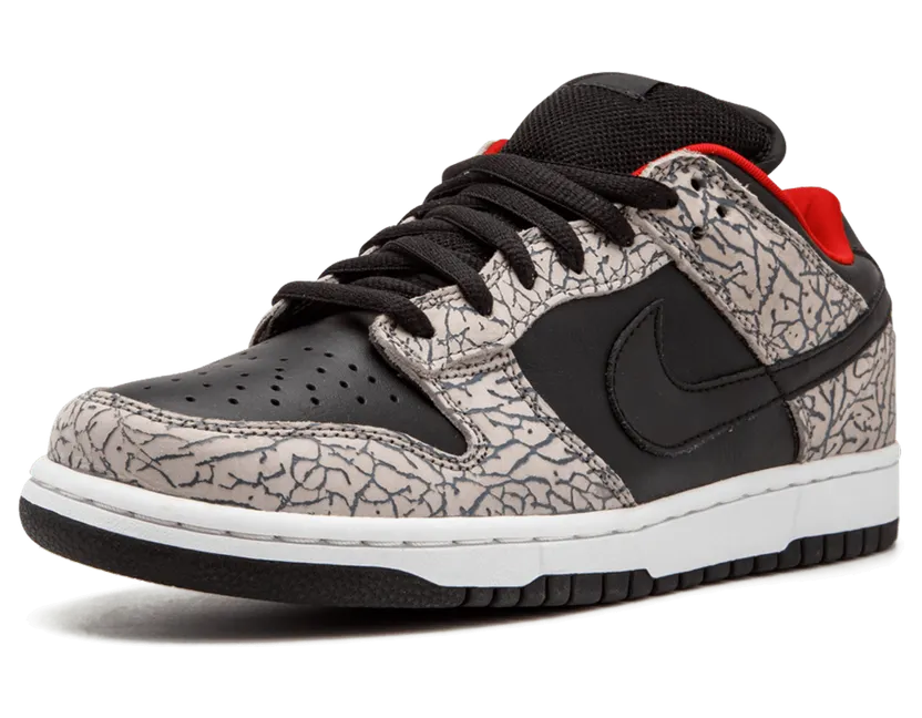 nike-dunk 304292-131