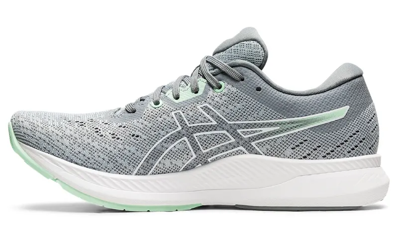 ASICS Evoride (1012A677-020)
