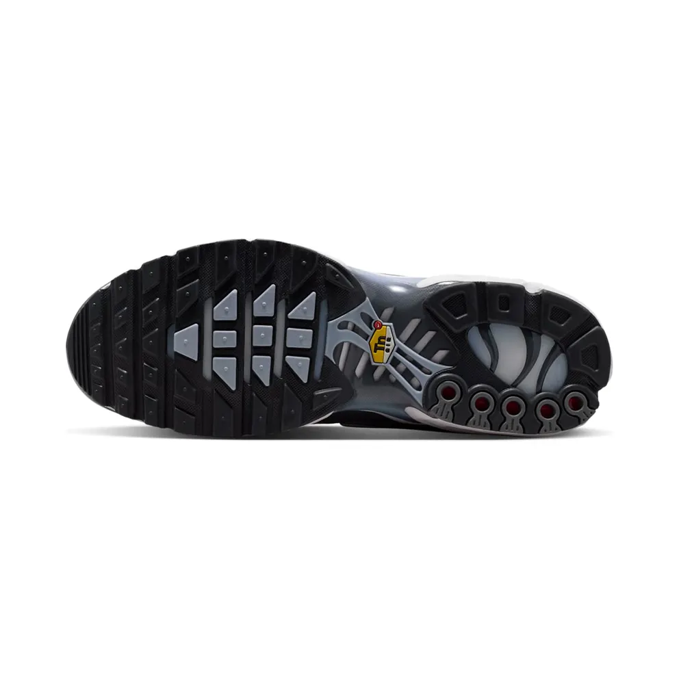 Nike Air Max Plus Smoke Grey/Light Armory Blue/Dark Smoke Grey/White (IV5757-070)