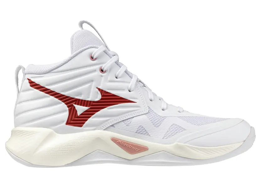 Mizuno Wave Momentum Wit (V1GC254573)
