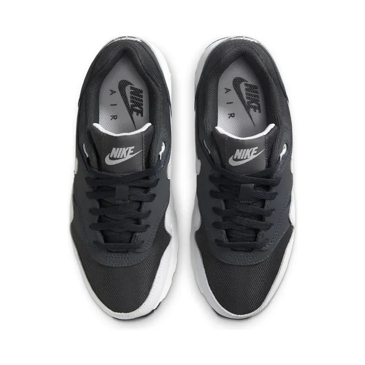 nike-air-max DZ3307-008