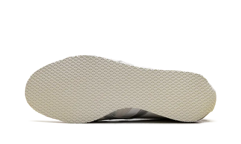 Onitsuka Tiger Runspark “White Silver” (1183B480-104)