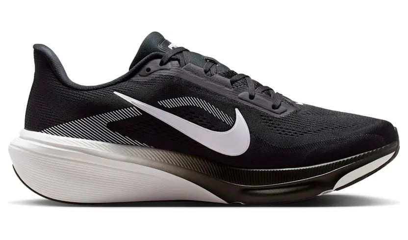 nike-air-pegasus IB1873-001