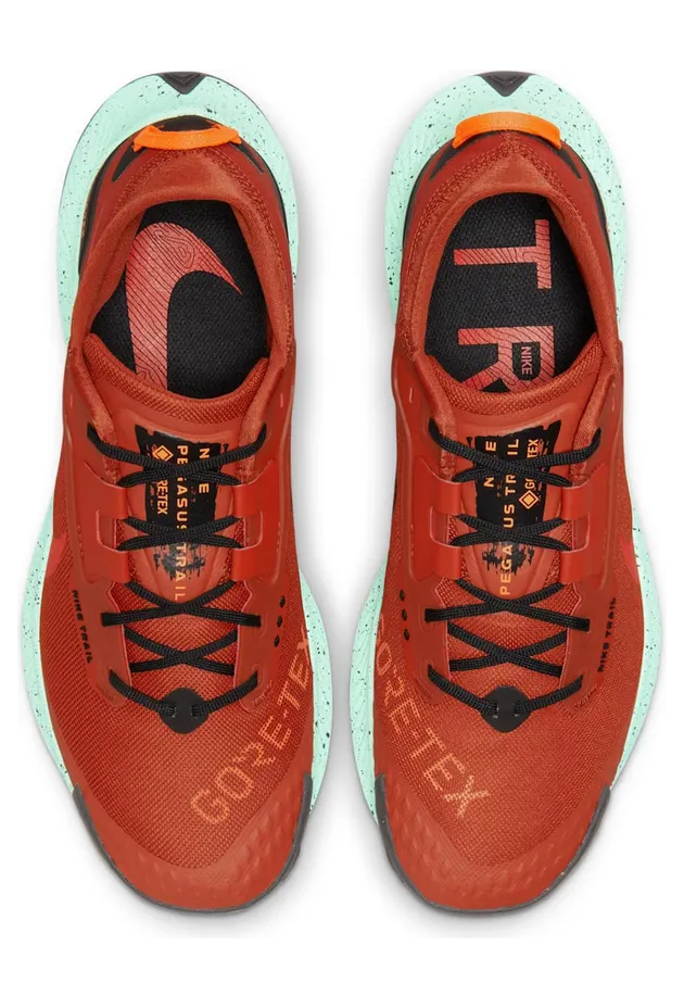 nike-air-pegasus DC8793-800
