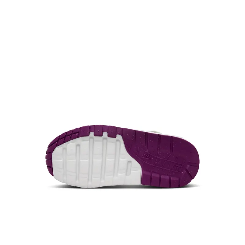 Nike Air Max 1 EasyOn Summit White Viotech (DZ3308-109)