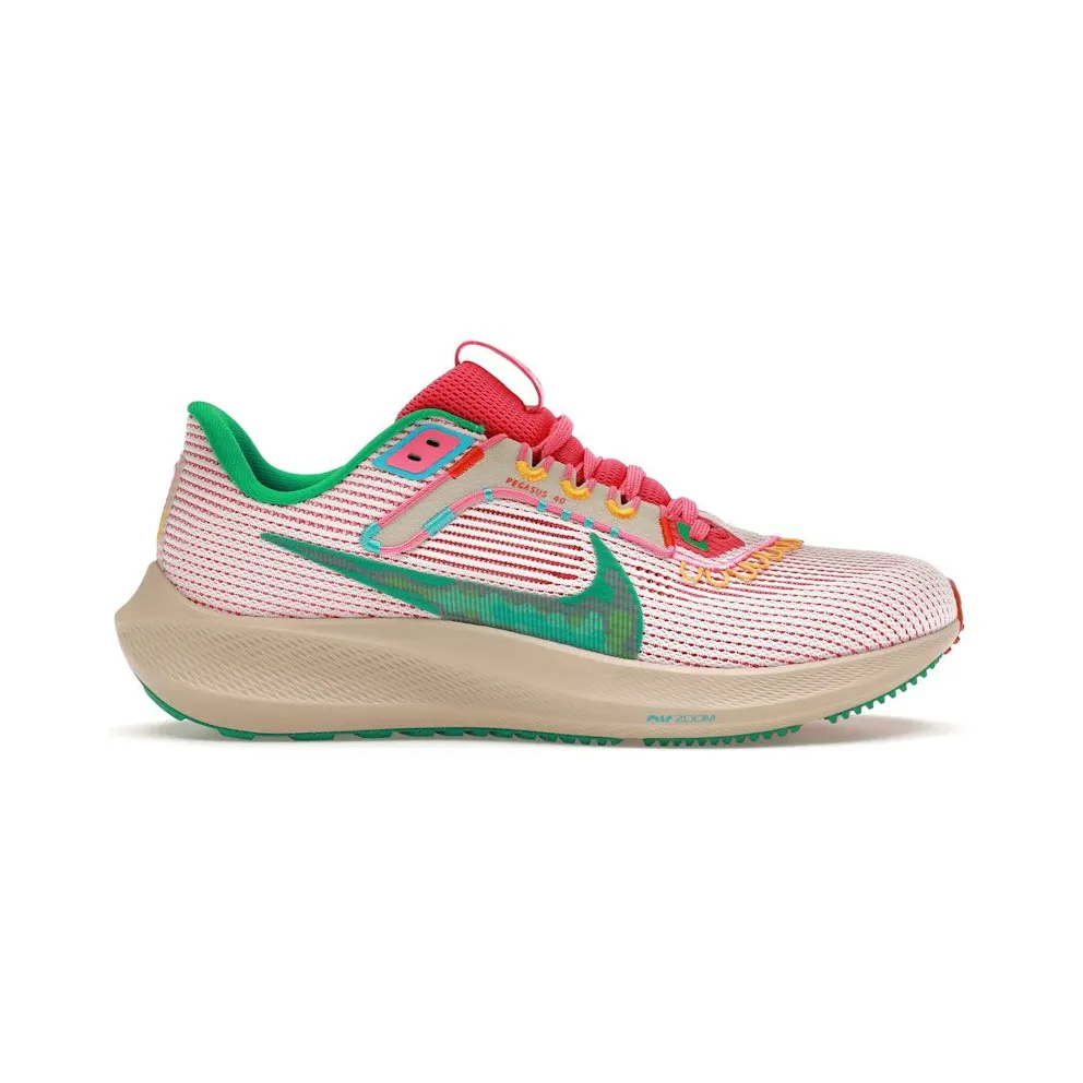 Nike Air Zoom Pegasus 40 Familia (FN0599-100)
