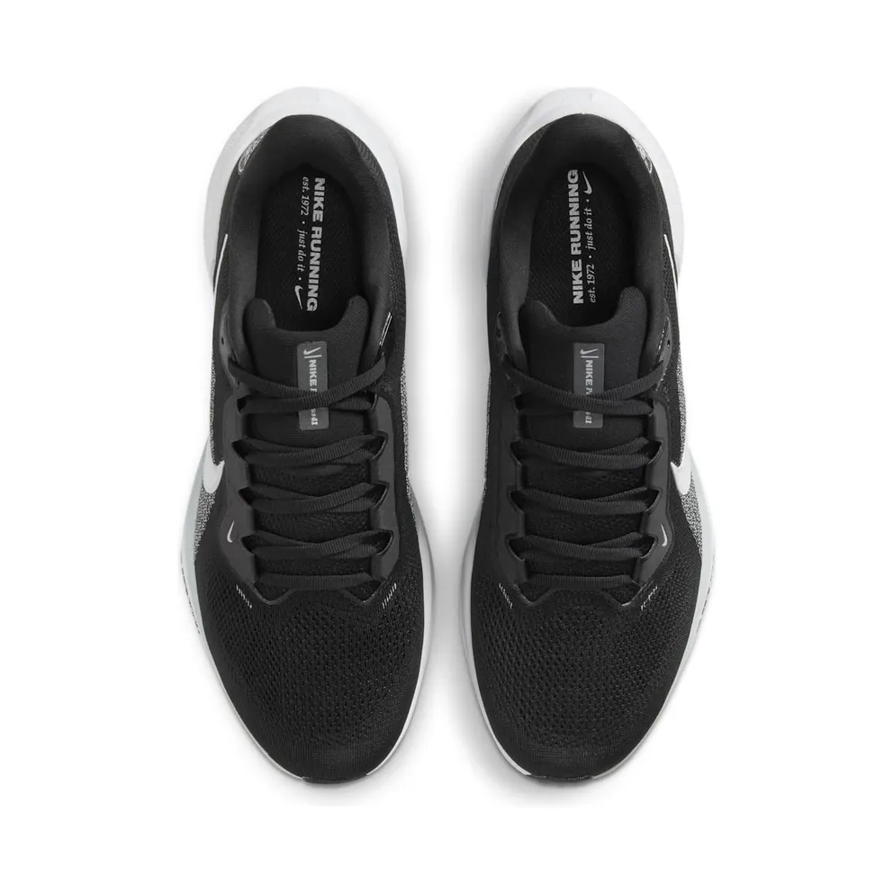 Nike Air Zoom Pegasus 41 Las Vegas Raiders (2025) (IB3201-001)