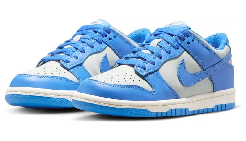 nike-dunk FB9109-004