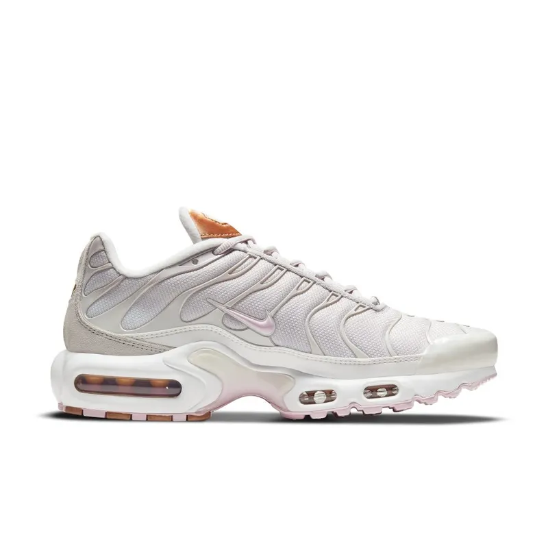 Nike Air Max Plus Grey (DD6612-001)