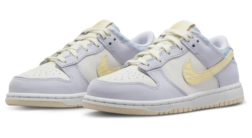 nike-dunk FJ4642-536