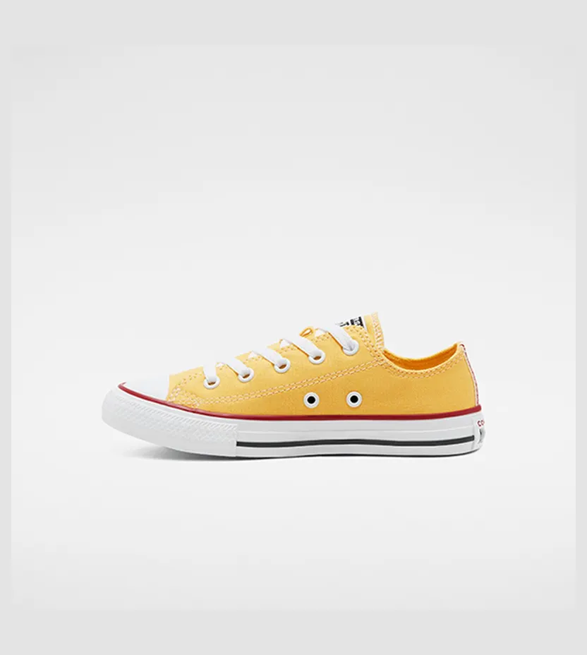 converse-chuck-taylor-all-star 666820C