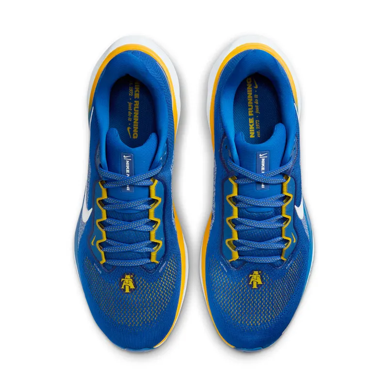 Nike Air Zoom Pegasus 41 North Carolina A&T (FZ5132-400)