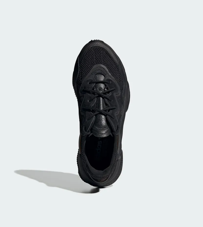 adidas-x-raf-simons-ozweego EE6999