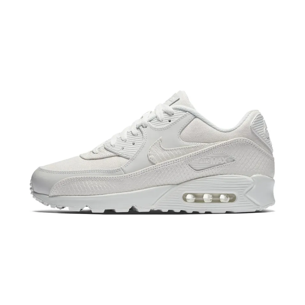 Nike Air Max 90 Summit White (700155-101)