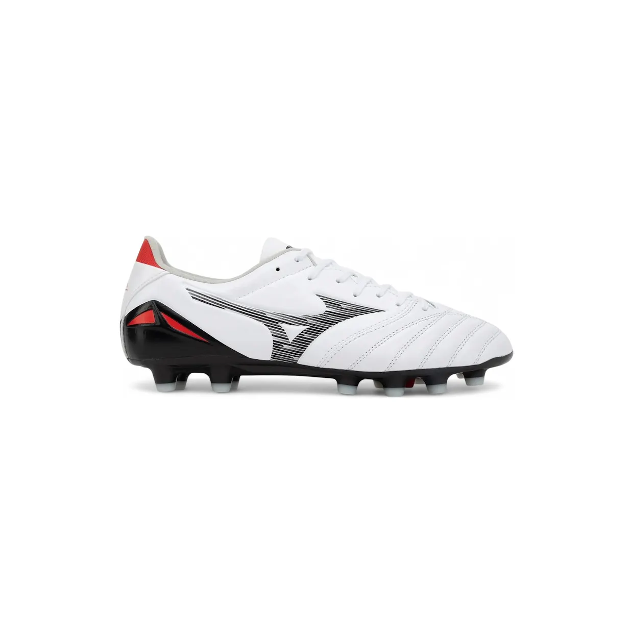 mizuno-morelia P1GA253409