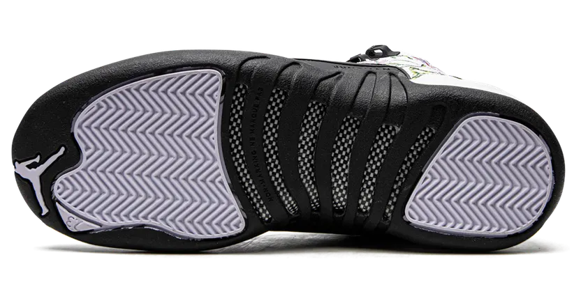 air-jordan-12 DR6956-100