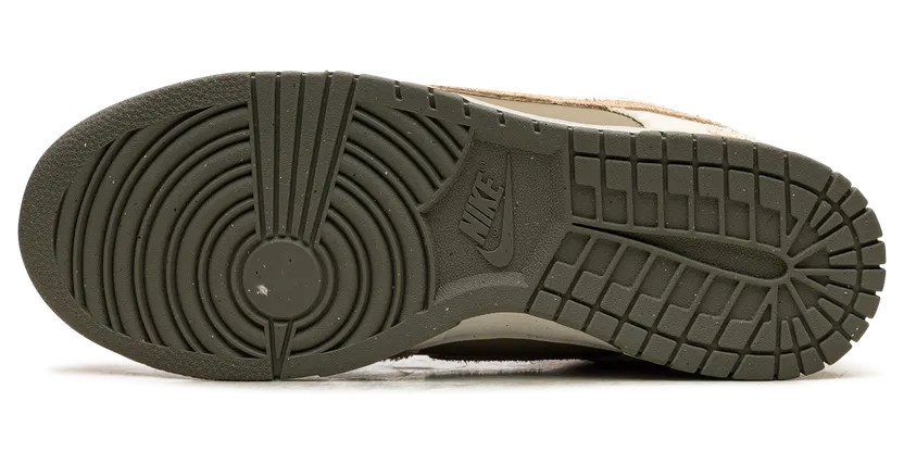 nike-dunk FZ4341-100
