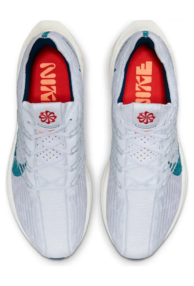 nike-air-pegasus DM3413-004