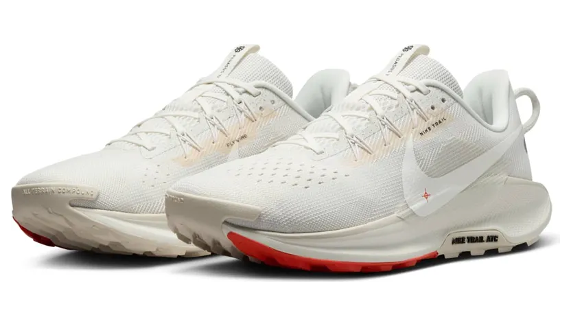 nike-air-pegasus DV3864-003