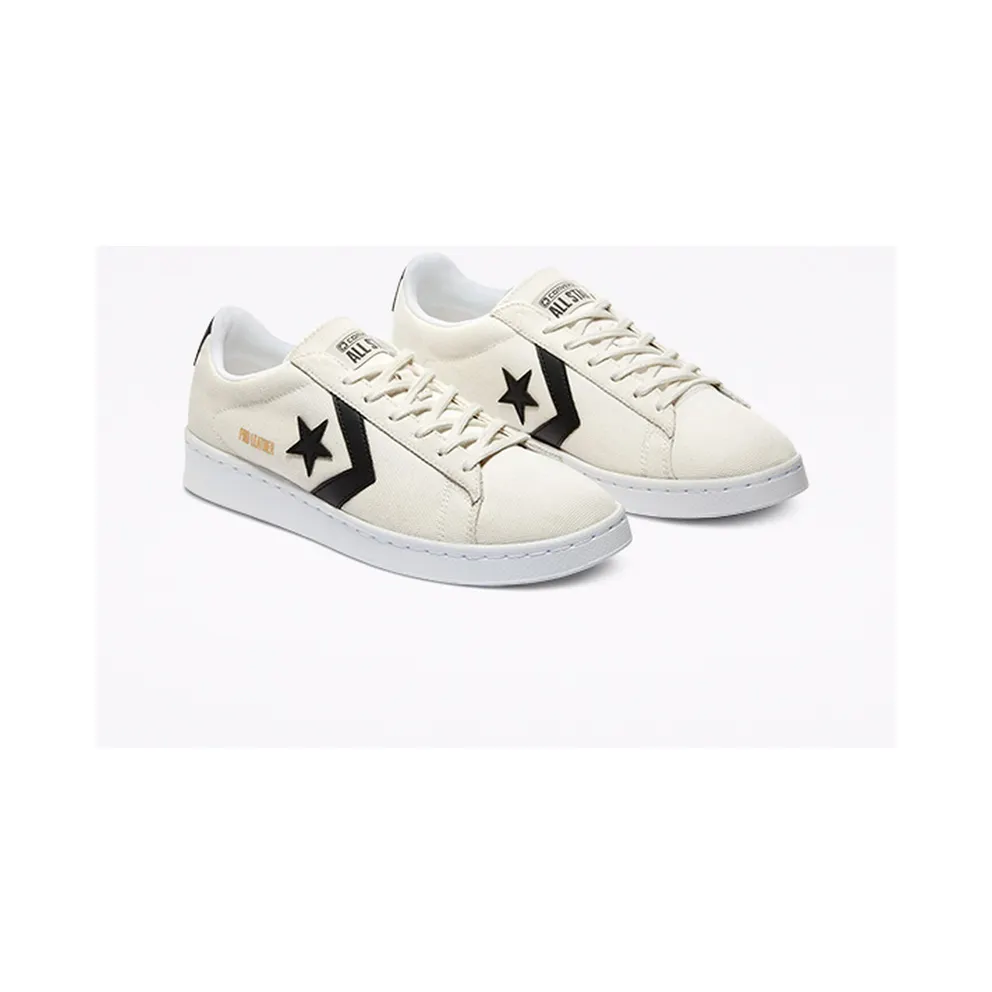 Converse Court Daze Pro Leather Low Top Egret/Black/White (170752C)