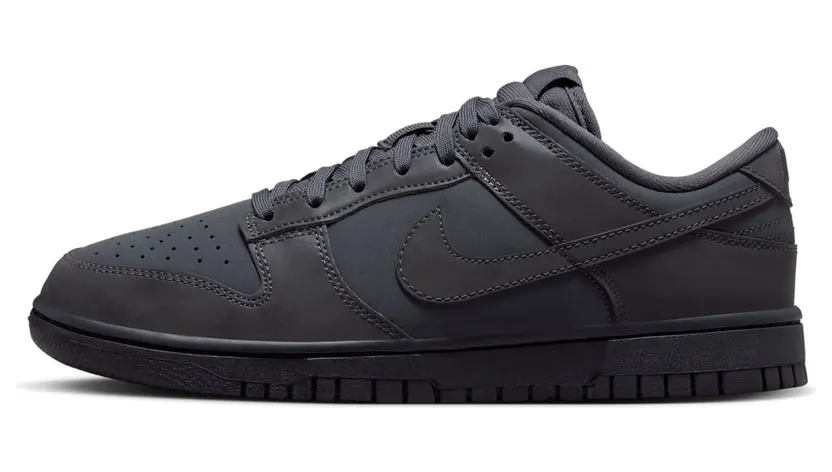 Nike Dunk Low Anthracite/Racer Blue/Black (FZ3781-060)